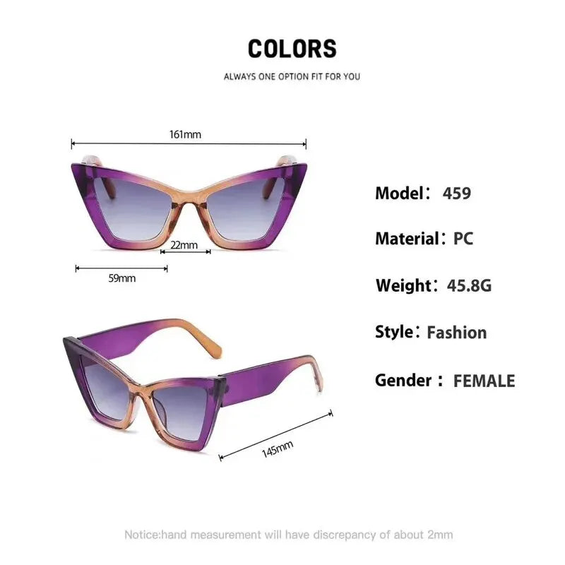 Large Frame Triangle Cat-eye Sunglasses