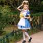 Anime Alice In Wonderland Cosplay Costume Lolita Dress Maid Apron Fantasia Carnival Halloween Costumes for Women&Girl